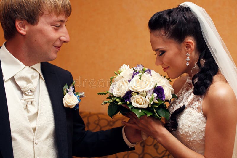 Newlyweds royalty free stock photo