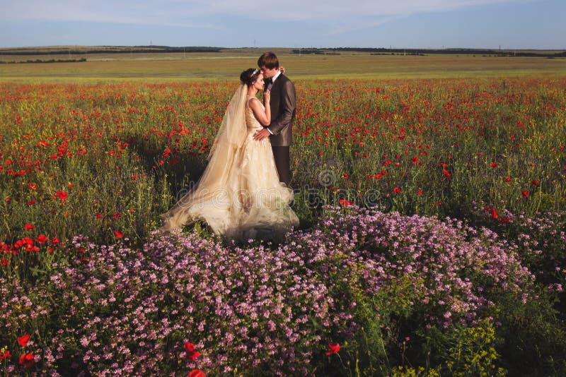 Newlyweds couple walking in amazing blossoming flowers field royalty free stock image Newlyweds couple walking in amazing blossoming flowers field royalty free stock image