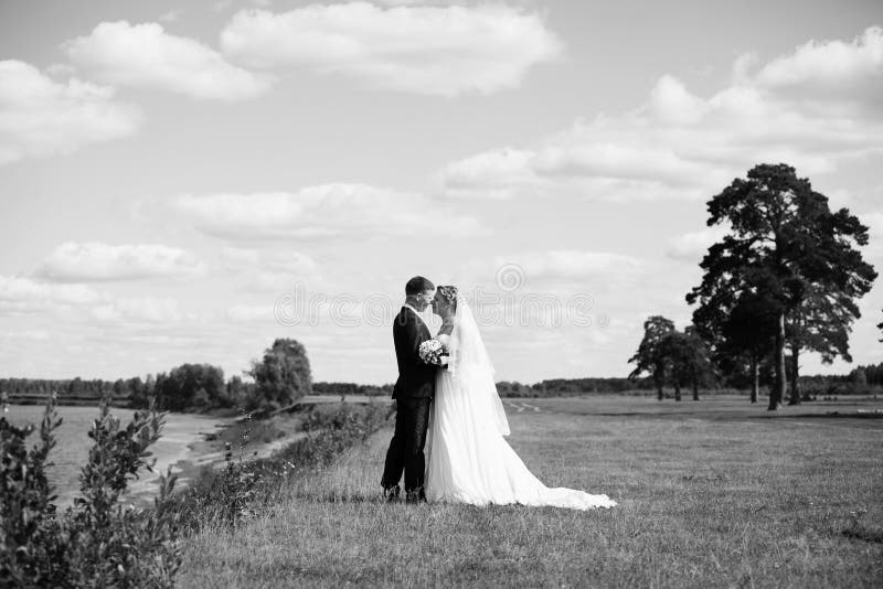 Newlyweds royalty free stock photo