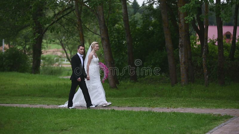newlyweds περίπατος πάρκων απόθεμα βίντεο newlyweds περίπατος πάρκων απόθεμα βίντεο