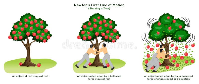 Newton First Law of Motion Infographic Diagram example shaking apple tree