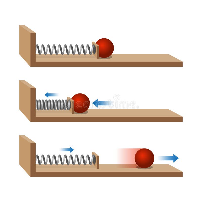 Newton\'s third Law of Motion. Law of inertia. Compression force. Extension force. Physics experience with springs and balls