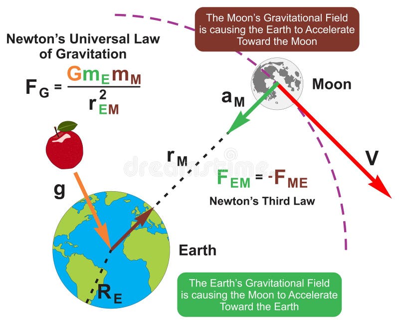 Newton universal law of gravitation infographic diagram physics science