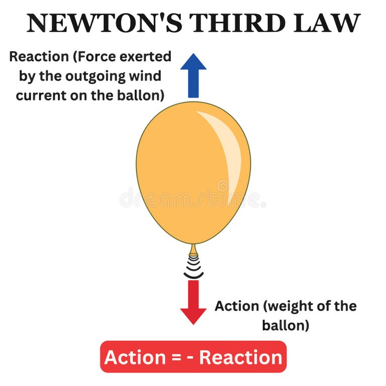 newton-s-third-law-of-motion-simple-examples-best-sale-dakora-co