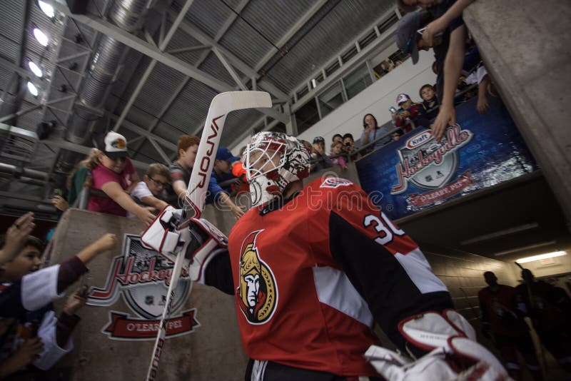 NHL`s Ottawa Senators Goalie Andrew Hammond
