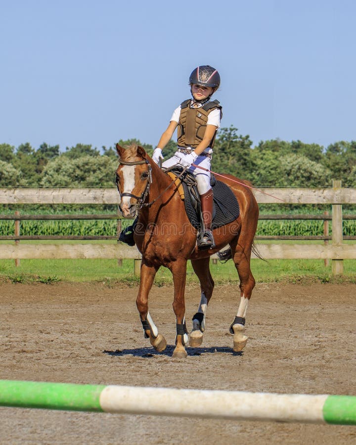 Niña En La Ropa De La Competencia En Un Caballo Los Países Bajos Imagen - Imagen de