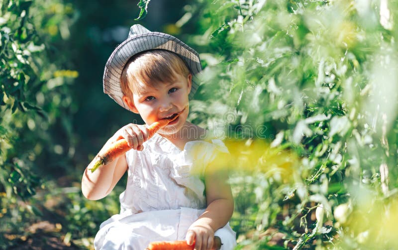 Airfield Interpret steel Niño Pequeño Granjero Sentado En Una Fila De Plantas De Tomates, Vestido Con Traje Blanco Casual Y Sombrero Gris, Comiendo Zanaho Foto de archivo - Imagen de sano, cara: 155912322 Airfield Interpret steel Niño Pequeño Granjero Sentado En Una Fila De Plantas De Tomates, Vestido Con Traje Blanco Casual Y Sombrero Gris, Comiendo Zanaho Foto de archivo - Imagen de sano, cara: 155912322