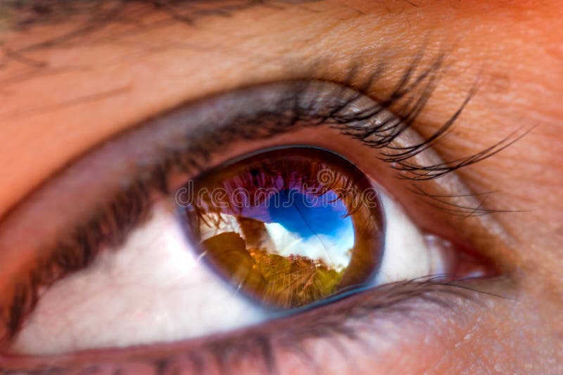 Waterfall eye reflection stock photo. Image of waterfall 147944004