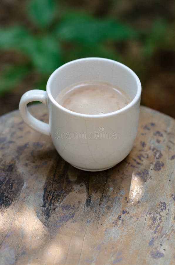 Nice coffee cup at garden royalty free stock images