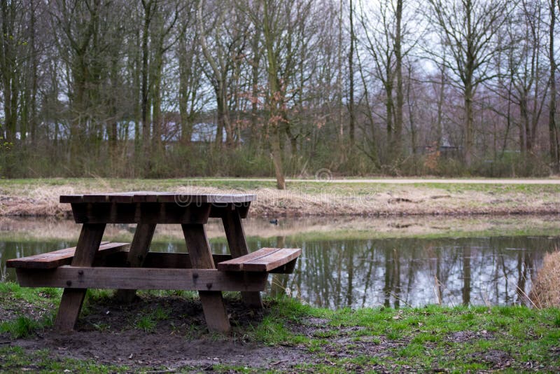 Picnic Table Bench in the Forest Nature Grass Trees Water Stock Image Image of camp, lake