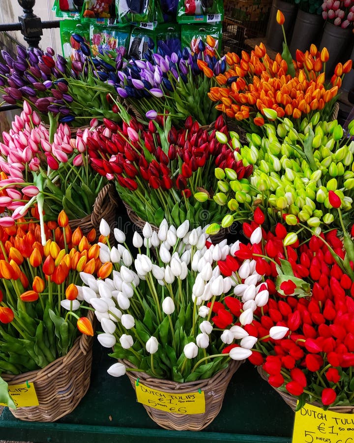 A Huge Number of Colorful Tulips in the Shops of Amsterdam. Stock Image ...