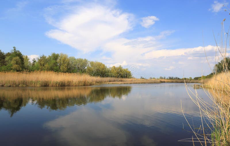Nice river scene in spring day royalty free stock photos