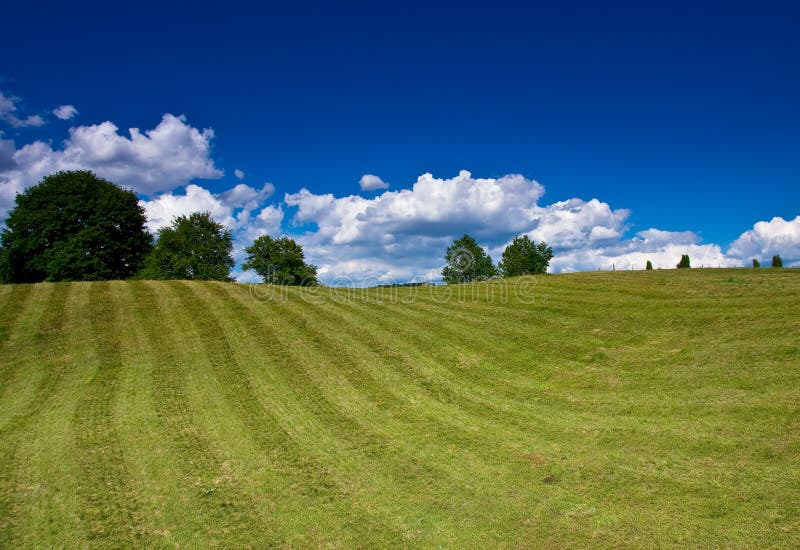 Nice rural landscape over blue sky