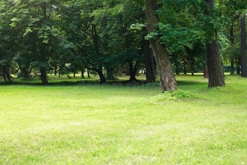 4,344,960 Park Background Stock Photos - Free & Royalty-Free Stock Photos  from Dreamstime