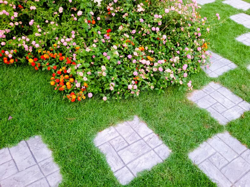 Nicely Decorated Garden with Stones and Plants Home Stock Image Image