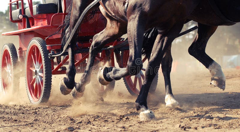 Harness racing. Racing horses harnessed to strollers. Harness racing. Racing horses harnessed to strollers