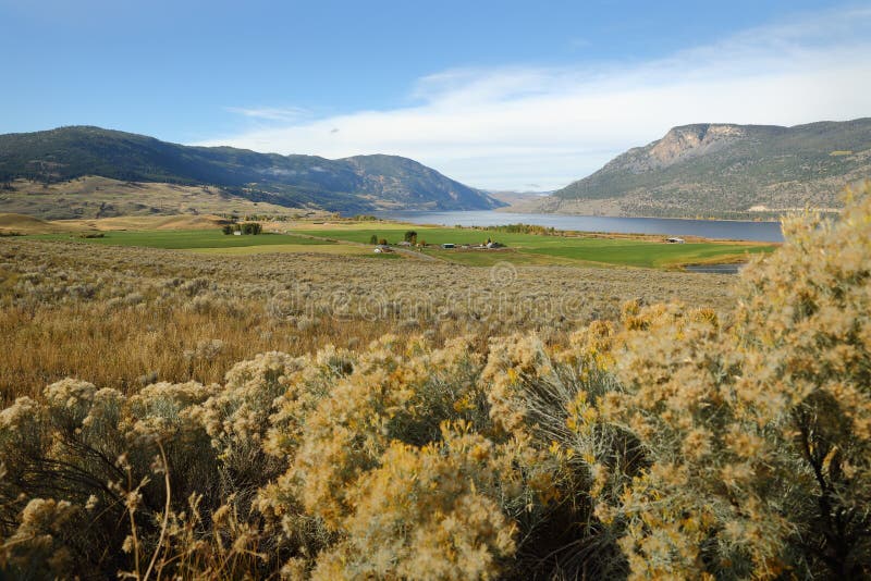 Nicola Lake och dal, British Columbia royaltyfri bild Nicola Lake och dal, British Columbia royaltyfri bild