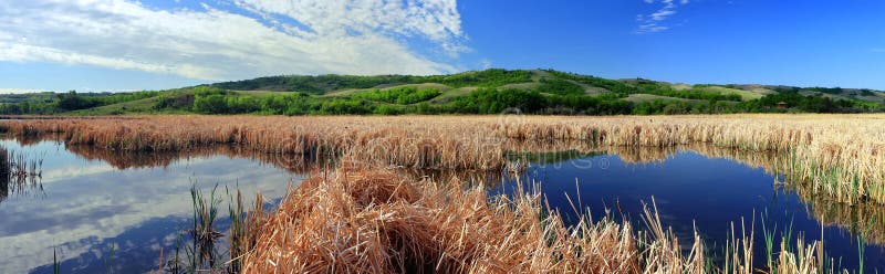 Nicolle Flats Marsh no parque provincial da libra do búfalo perto da maxila dos alces, Saskatchewan