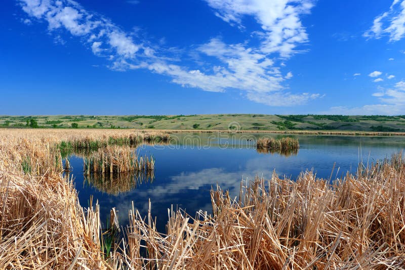 Buffalo Pound Provincial Park Peaceful Nicolle Marsh in Qu`appelle River Valley, Great Plains, Saskatchewan, Canada