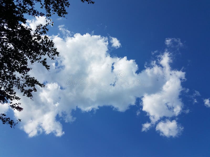 Niebieskie niebo ze spuchniętymi białymi chmurami w atmosferze z drzewem zdjęcia stock Niebieskie niebo ze spuchniętymi białymi chmurami w atmosferze z drzewem zdjęcia stock