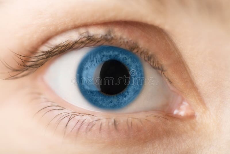 niebieskiego oka istoty ludzkiej macro obrazy stock niebieskiego oka istoty ludzkiej macro obrazy stock