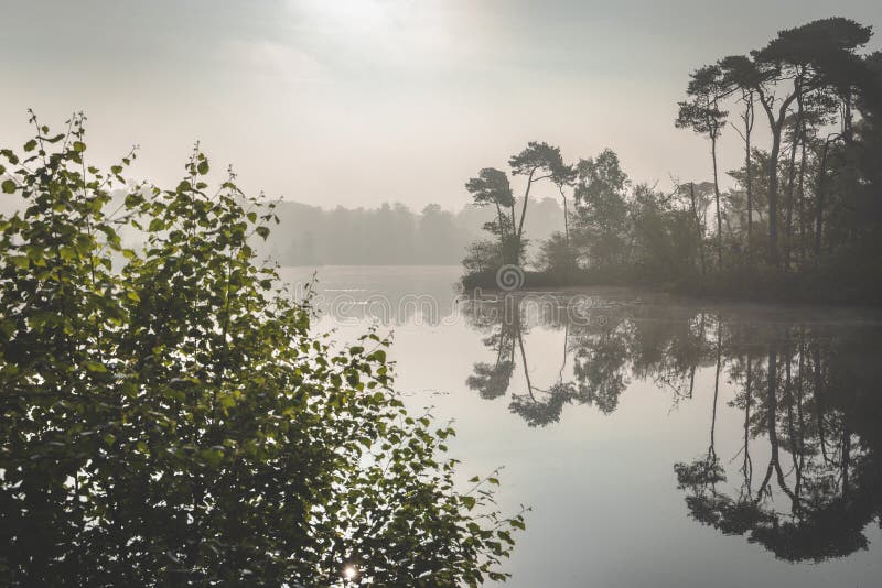 Niebla brumosa de la mañana sobre el lago Luz del sol que viene a través de la niebla Zonsopkomst sobre meer en Vennen de Oisterw fotografía de archivo libre de regalías Niebla brumosa de la mañana sobre el lago Luz del sol que viene a través de la niebla Zonsopkomst sobre meer en Vennen de Oisterw fotografía de archivo libre de regalías