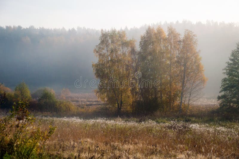 Niebla de la mañana en septiembre Paisaje Campo y bosque imagen de archivo libre de regalías Niebla de la mañana en septiembre Paisaje Campo y bosque imagen de archivo libre de regalías