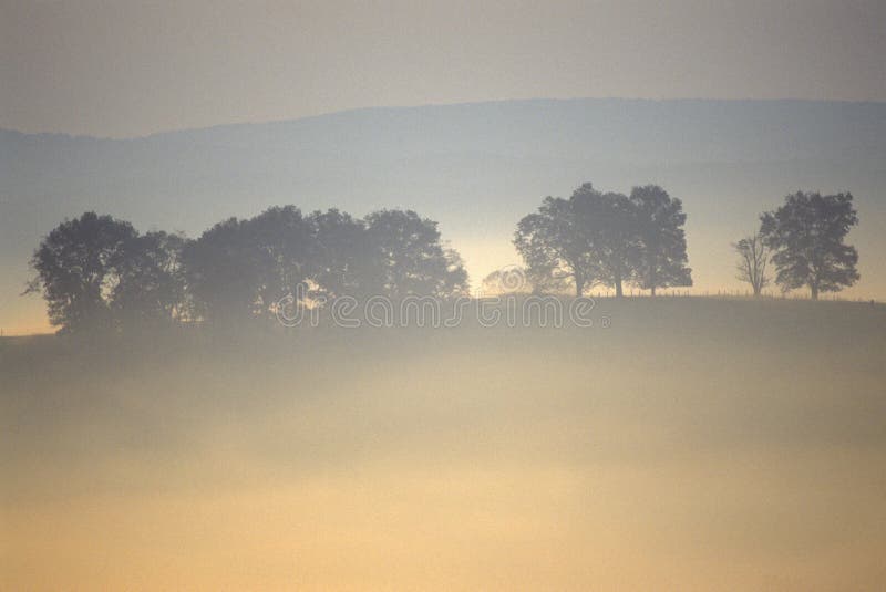 Niebla de la mañana sobre la ruta escénica 219, WV de los E.E.U.U. de la carretera fotografía de archivo Niebla de la mañana sobre la ruta escénica 219, WV de los E.E.U.U. de la carretera fotografía de archivo
