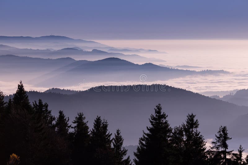 Niebla En El Bosque Negro, Alemania Foto de archivo Imagen de alto