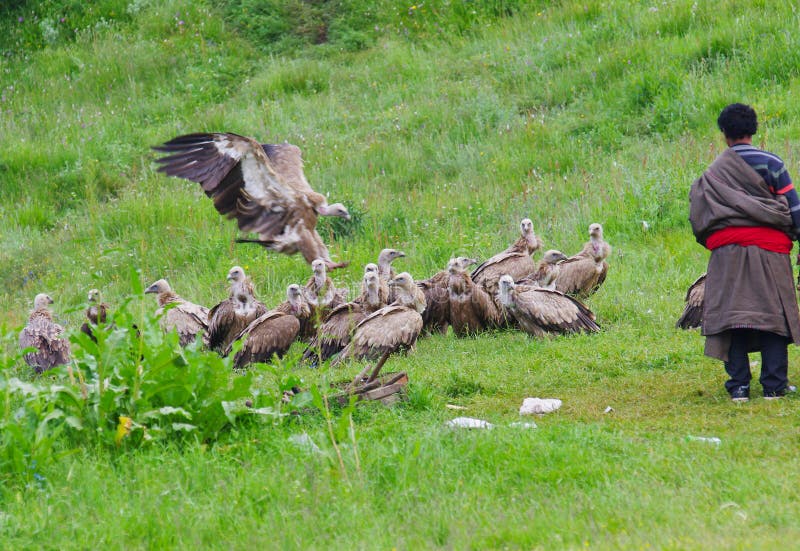 Image result for tybetański pogrzeb