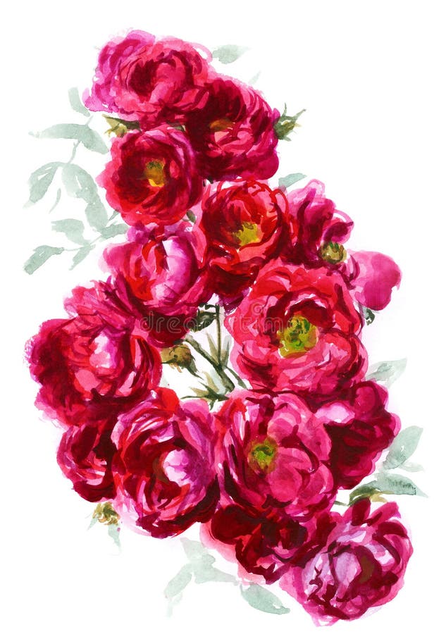 Zweig einer purpurnen Rose vektor abbildung