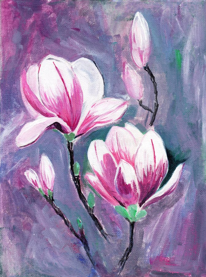 Niederlassung der rosa Magnolie mit Blumen Hand gezeichnete malende Illustration lizenzfreie abbildung Niederlassung der rosa Magnolie mit Blumen Hand gezeichnete malende Illustration lizenzfreie abbildung