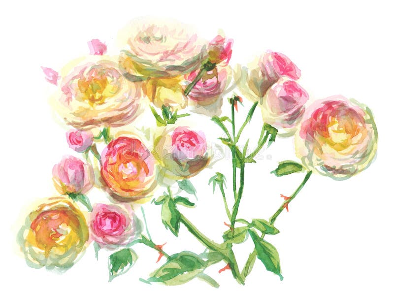Niederlassung von blassem - rosa gelbe Rosen lizenzfreie abbildung