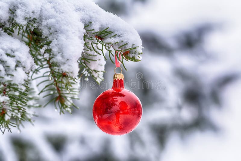 Branch christmas tree, christmas balls and cones spruce on snow. Branch christmas tree, christmas balls and cones spruce on snow.