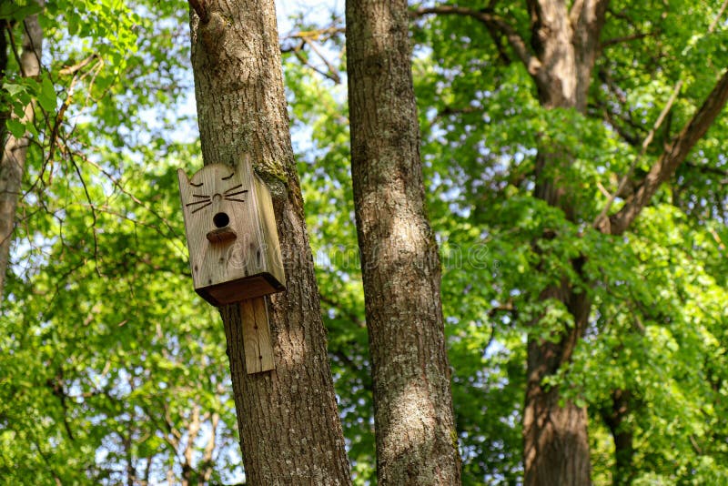 Niedlich hölzern Katze geformt Vogelhaus auf dem Baum stockbild