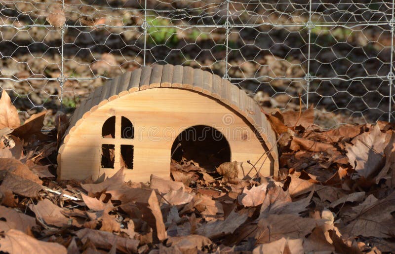Niedliches handgefertigtes Holzhaus für Wildhedgehog in einem Garten lizenzfreies stockfoto