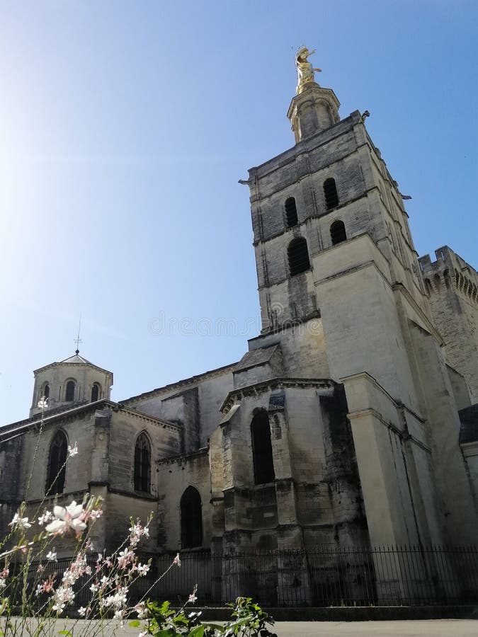 Eine niedrige Winkelsicht des Palais DES Papes umgeben von Grün unter dem Sonnenlicht in Frankreich