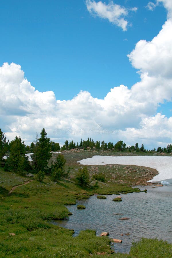 Niedźwiadkowy ząb przepustki śnieg topi w Wyoming na sposobie Yellowstone park narodowy zdjęcia stock