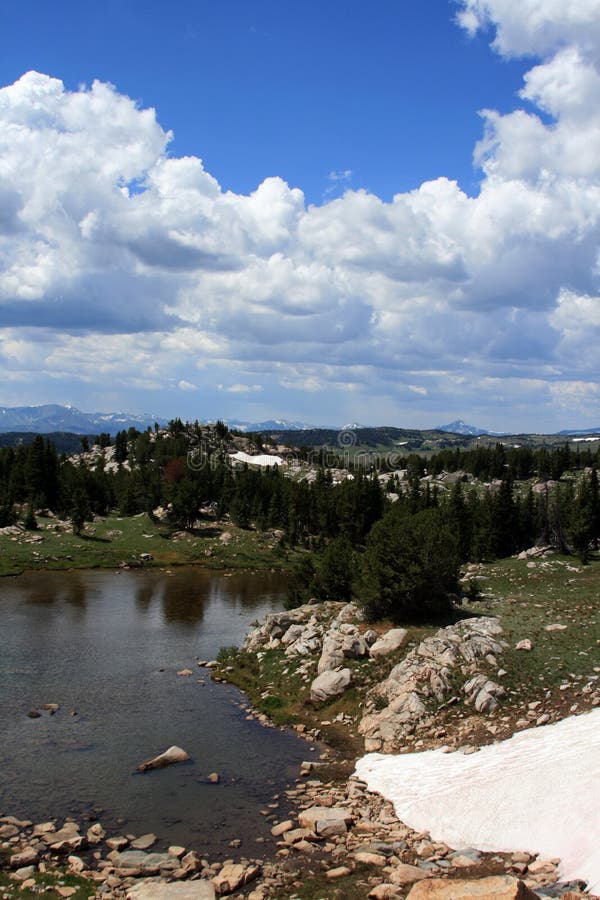 Niedźwiadkowy ząb przepustki śnieg topi w Wyoming na sposobie Yellowstone park narodowy obraz royalty free