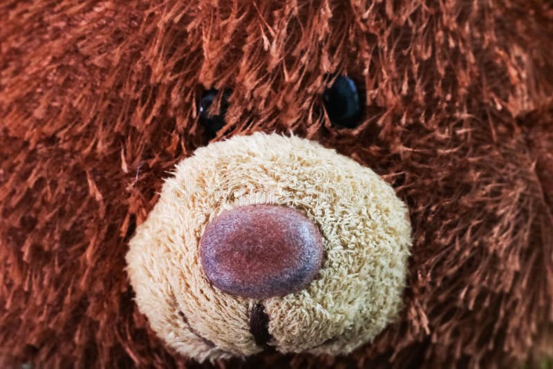 Niedźwiedzia brunatnego mokietu kierownicza zabawka zamknięta w górę obraz stock Niedźwiedzia brunatnego mokietu kierownicza zabawka zamknięta w górę obraz stock