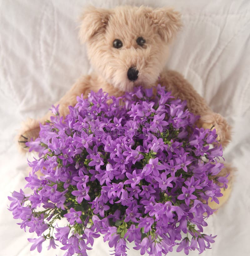 Generic teddy bear with abundant bellflowers. Generic teddy bear with abundant bellflowers
