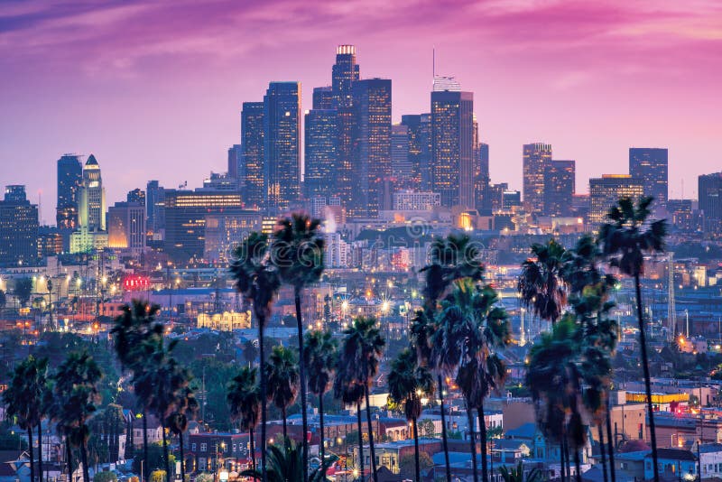 Niesamowity widok na zachód słońca z palmą i centrum Los Angeles Kalifornia, Stany Zjednoczone Ameryki