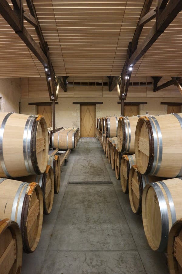 Nieuw Keldershoogtepunt van Eiken Vaten in Chateau D ` Yquem, Frankrijk stock fotografie Nieuw Keldershoogtepunt van Eiken Vaten in Chateau D ` Yquem, Frankrijk stock fotografie