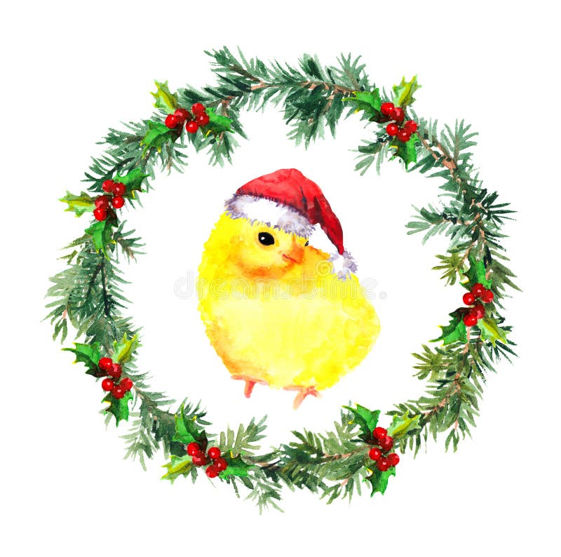 Nieuwe jaarkroon - de kip van de Kerstmisbaby in rode santa` s hoed Waterverfvogel royalty-vrije illustratie Nieuwe jaarkroon - de kip van de Kerstmisbaby in rode santa` s hoed Waterverfvogel royalty-vrije illustratie