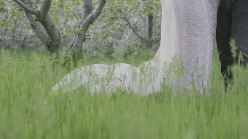 Nieuwe liefhebbers op de achtergrond van een weide en een bloeiende appelboomgaard Sluiten van de benen