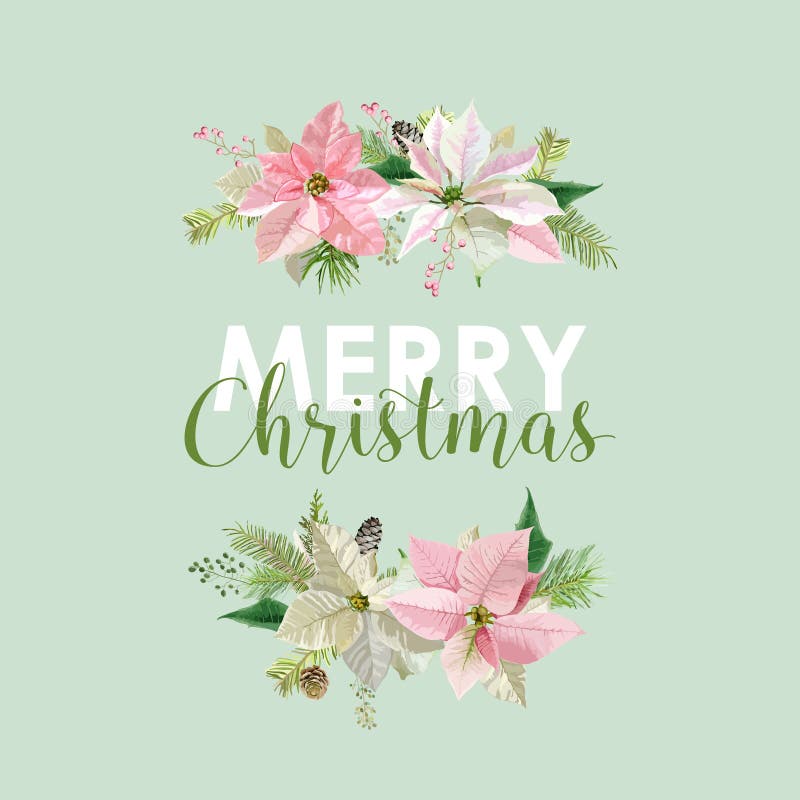 Nieuwjaar en Kerstkaart - Uitstekende Bloemenpoinsettia royalty-vrije illustratie Nieuwjaar en Kerstkaart - Uitstekende Bloemenpoinsettia royalty-vrije illustratie