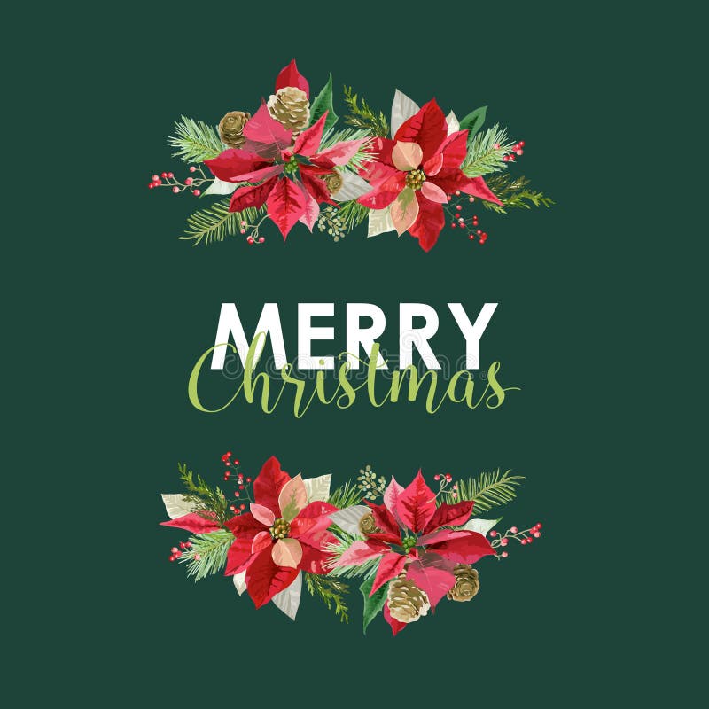 Nieuwjaar en Kerstkaart - Uitstekende Bloemenpoinsettia vector illustratie Nieuwjaar en Kerstkaart - Uitstekende Bloemenpoinsettia vector illustratie