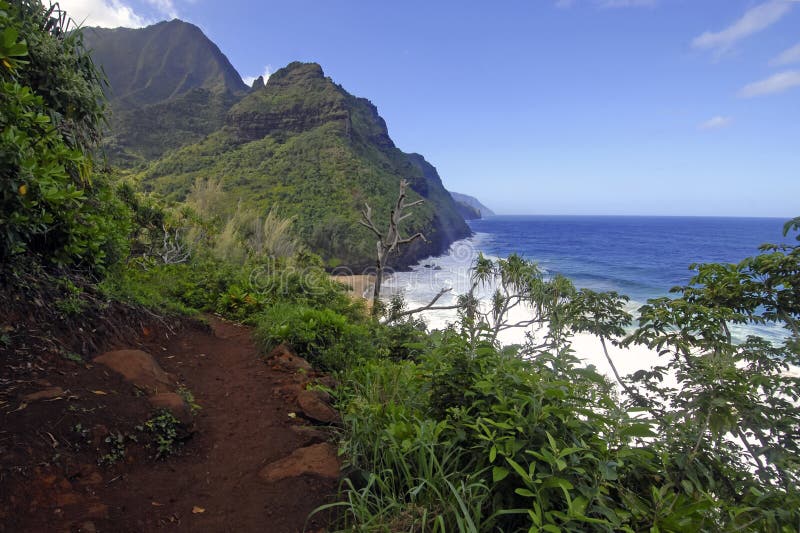Niewygładzona linia brzegowa i falezy wzdłuż Kalalau śladu Kauai, Hawaje