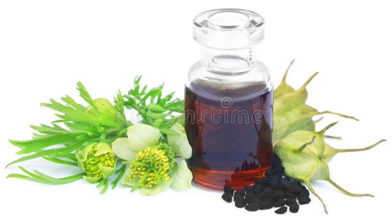 Nigella flower with seeds and essential oil in a glass bottle. Nigella flower with seeds and essential oil in a glass bottle