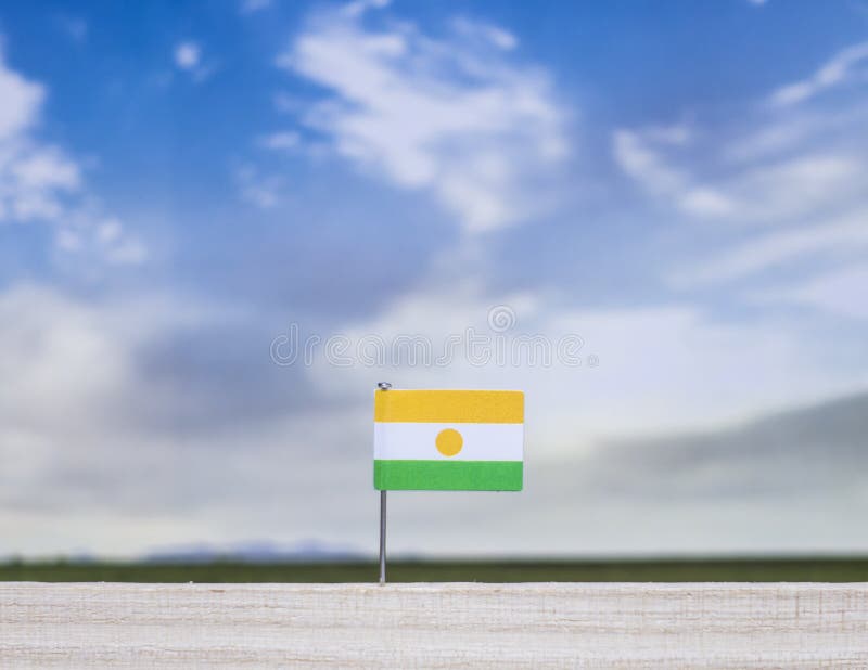 Niger flag with vast meadow and blue sky behind it. stock photos